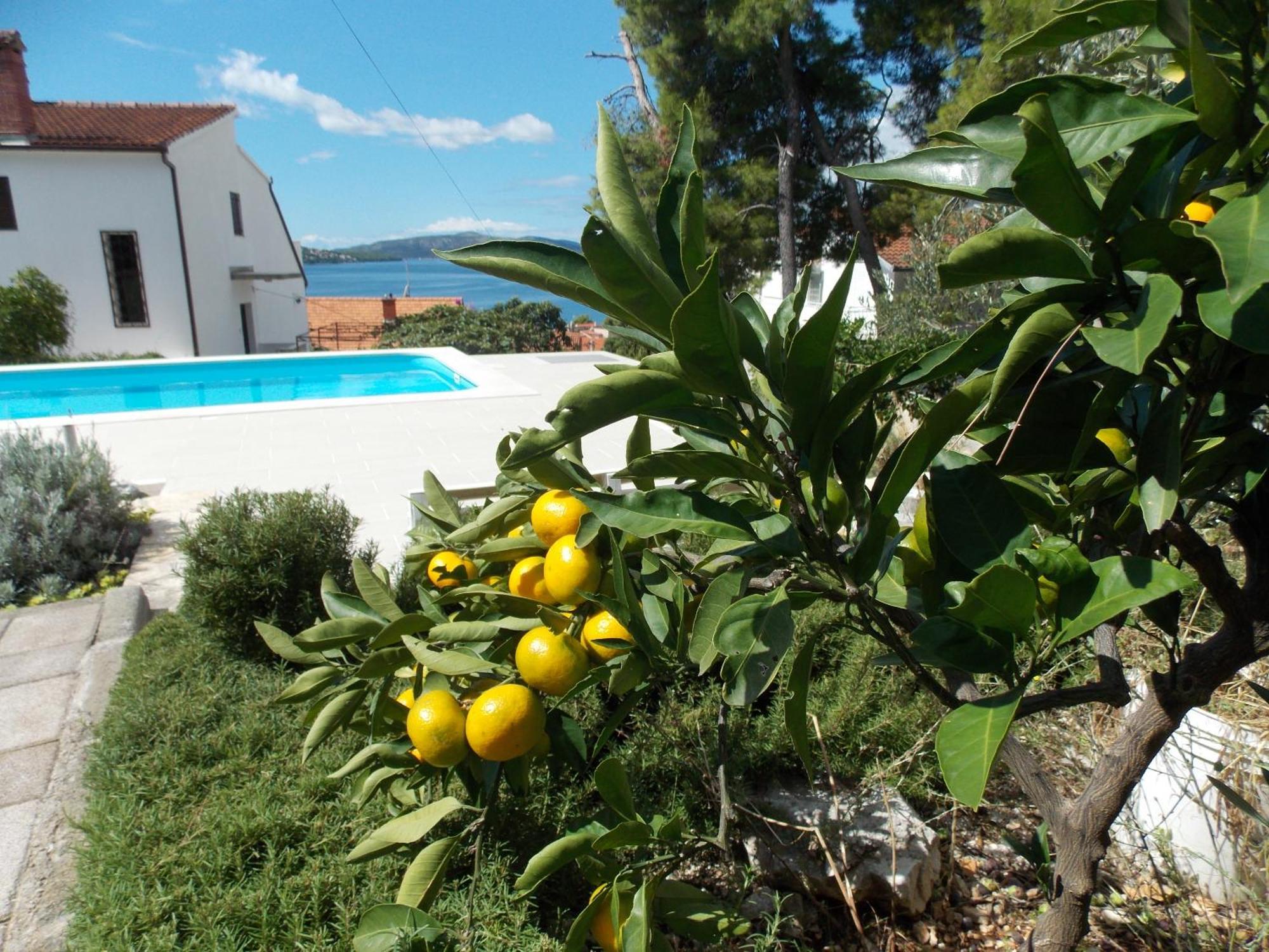 Apartments Villa Goja Trogir Cameră foto