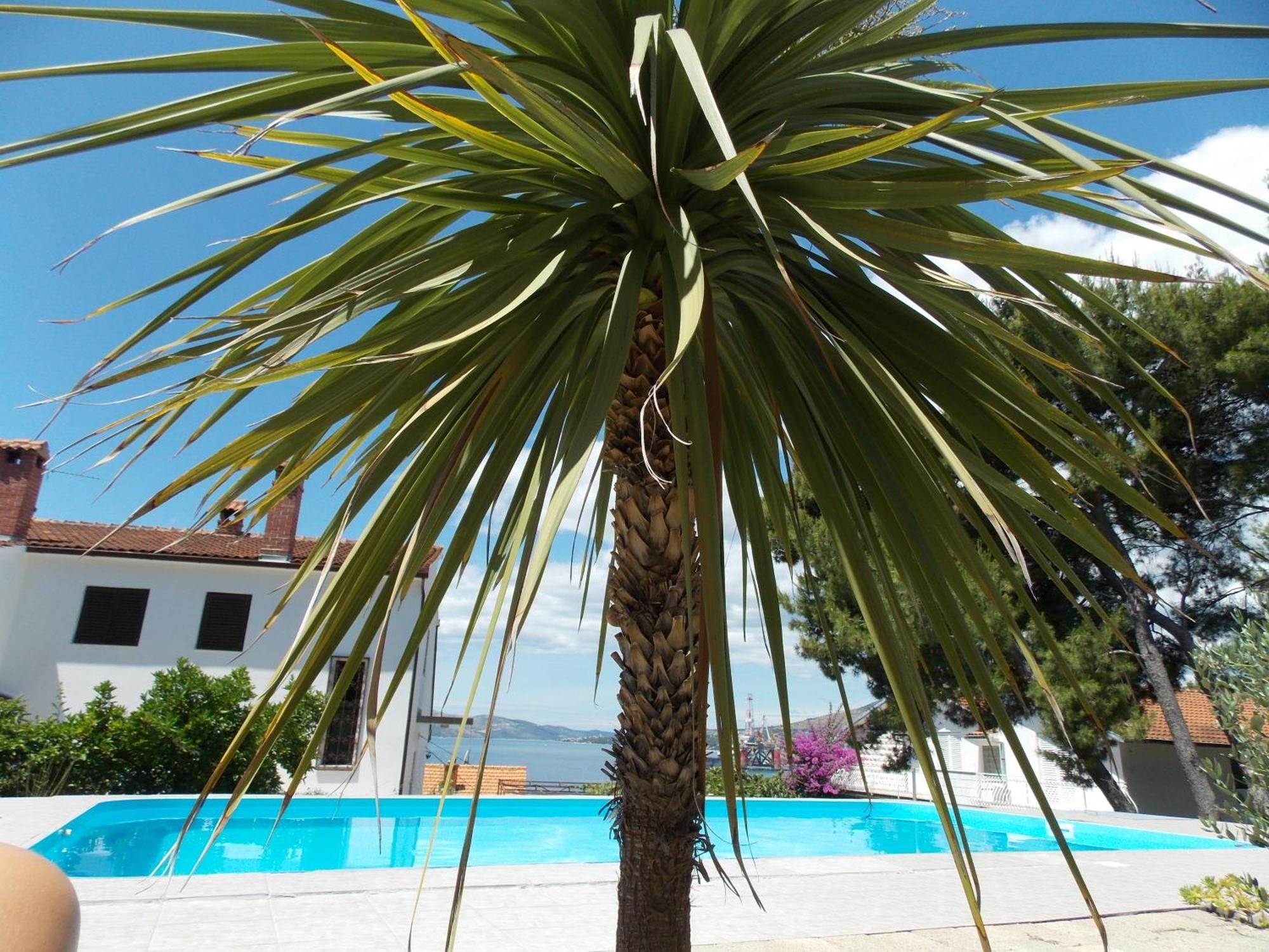 Apartments Villa Goja Trogir Cameră foto